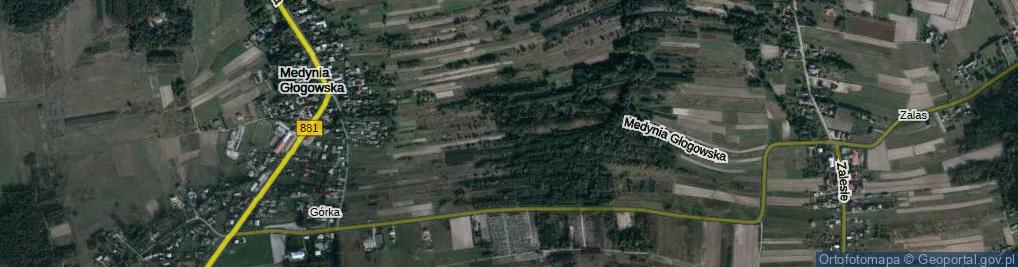 Zdjęcie satelitarne Medynia Głogowska ul.